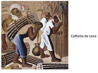 Colheita de cana 
Colheita de cana 
 