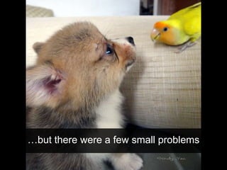 …but there were a few small problems
 