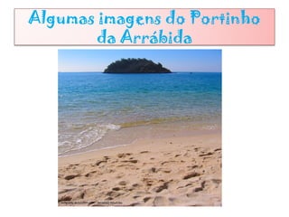 Algumas imagens do Portinho
da Arrábida
 