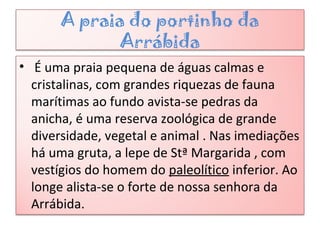 A praia do portinho da
Arrábida
• É uma praia pequena de águas calmas e
cristalinas, com grandes riquezas de fauna
marítimas ao fundo avista-se pedras da
anicha, é uma reserva zoológica de grande
diversidade, vegetal e animal . Nas imediações
há uma gruta, a lepe de Stª Margarida , com
vestígios do homem do paleolítico inferior. Ao
longe alista-se o forte de nossa senhora da
Arrábida.
 