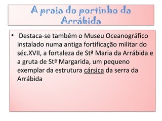 A praia do portinho da
Arrábida
• Destaca-se também o Museu Oceanográfico
instalado numa antiga fortificação militar do
séc.XVII, a fortaleza de Stª Maria da Arrábida e
a gruta de Stª Margarida, um pequeno
exemplar da estrutura cársica da serra da
Arrábida
 