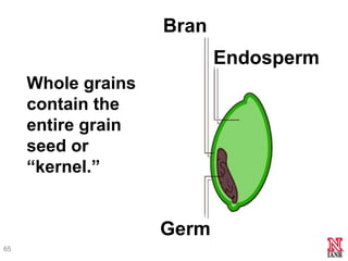Bran
                           Endosperm
     Whole grains
     contain the
     entire grain
     seed or
     ―kernel.‖...