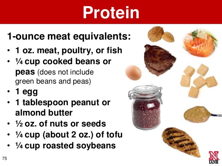 How Much Is A Cup Of Dog Food In Grams How Much Is A Cup Of Dog Food In Grams