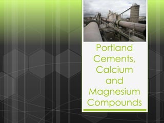 Portland
Cements,
Calcium
and
Magnesium
Compounds

 
