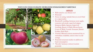 FOCUS ON COLD-CLIMATE HEIRLOOM/ENDANGERED VARIETALS
APPLES
• Well suited to our climate/soil
• Perennial
• Focus on eating varietals that you won’t find
in a supermarket
• Breakwell’s seedling, farmeuse snow apple,
somerset red-streak, sugar-loaf pippn,
Kingston Balck, Spartan, Improved
foxwhelp. Beauty of Bath, Brown Snout,
Court of Wick, Cornish Aromatic, Dorset
Golden, Pink Pearl…
• Vitamin/Mineral content mazimised due to
immediate availability and no time in cold
storage
• Potential restaurant market in addition to
local consumption
• ‘Novelty’ increases visitors/tourism
potential.
 