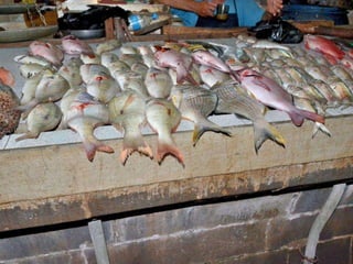 Port louis - Central Market - 2012