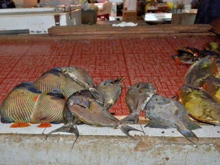 Port louis - Central Market - 2012
