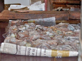 Port louis - Central Market - 2012