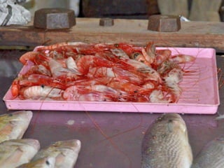 Port louis - Central Market - 2012