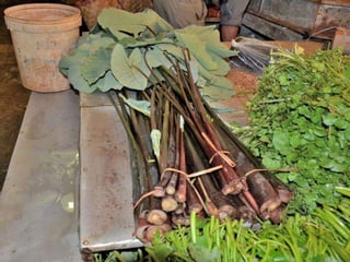 Port louis - Central Market - 2012