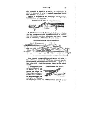 ANNEXE 1 289 
gile, recouverte de fascines et de libages, ce qui permettait de 
suivre les tassements du sot et d'y remédier, lorsque des infiltra-tions 
Coupe verticale du talus extérieur. 
tUtOt~U Il & U 
<9 
venaient à se produire. 
Les talus du batardeau ont été protégés par des clayonnages, 
tant à l'intérieur qu'à l'extérieur. 
2° Fa~t~eaM des ~MOM de Freycinet, f< /)tt))~t<c. – L'écluse 
Xord des bassins de Freycinet, encore actuellement en construc-tion, 
est comprise entre deux batardeaux, dont l'un, à l'amont 
(côté du bassina flot), a été construit de toutes pièces. 
Batardeau des ba~ius de Freycinet, à DuD)fer<)ue. 
It est constitué par un remblai de sable à talus trt'a doux. Le 
talus extérieur, ou amont, est défendu par une couche d'argile, 
recouverte d'une maçonnerie sèche de blocailles. Le pied de ce 
talus est protégé a t'aide d'un vannage appuyé par un remblai 
en sable. 
Le talus intérieur (coté 
de la fouille) n'avait pas 
été défendu. Or, on dut 
rempttr les bassins de 
Freycinet pendant l'exécu-tion 
de l'écluse Nord. Mal-grë 
la précaution que l'on 
avait prise de n'effectuer 
ce remplissage qu'avec une extrême lenteur, puisqu'il a du~e 
 