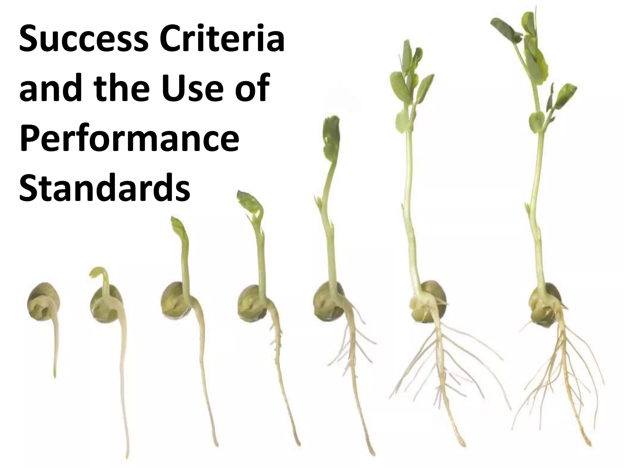 Success Criteria
and the Use of
Performance
Standards

 