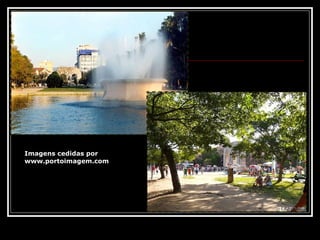 Imagens cedidas por  www.portoimagem.com 