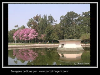 Imagens cedidas por  www.portoimagem.com 