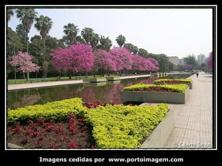 Imagens cedidas por  www.portoimagem.com 