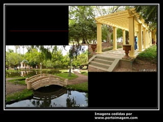 Imagens cedidas por  www.portoimagem.com 