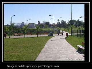 Imagens cedidas por www.portoimagem.com 
