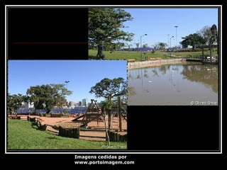Imagens cedidas por  www.portoimagem.com 
