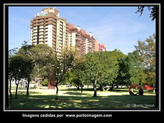 Imagens cedidas por  www.portoimagem.com 