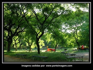 Imagens cedidas por  www.portoimagem.com 