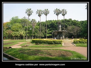 Imagens cedidas por  www.portoimagem.com 