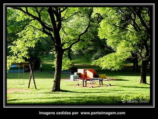 Imagens cedidas por  www.portoimagem.com 
