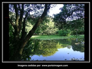 Imagens cedidas por  www.portoimagem.com 