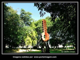 Imagens cedidas por  www.portoimagem.com 