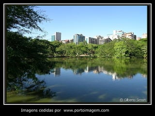 Imagens cedidas por  www.portoimagem.com 