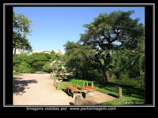 Imagens cedidas por  www.portoimagem.com 