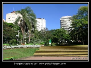 Imagens cedidas por  www.portoimagem.com 