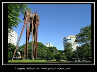 Imagens cedidas por  www.portoimagem.com 