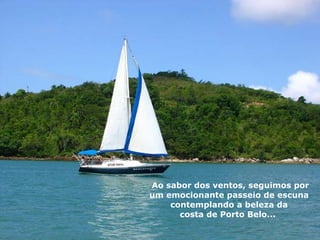 Ao sabor dos ventos, seguimos por um emocionante passeio de escuna  contemplando a beleza da  costa de Porto Belo...  