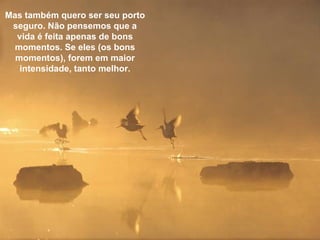 Mas também quero ser seu porto seguro. Não pensemos que a vida é feita apenas de bons momentos. Se eles (os bons momentos), forem em maior intensidade, tanto melhor. 