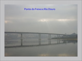 Ponte do Freixo e Rio Douro 