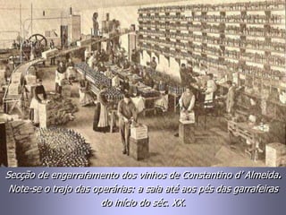 Secção de engarrafamento dos vinhos de Constantino d’ Almeida.
Note-se o trajo das operárias: a saia até aos pés das garrafeiras
do início do séc. XX.
 