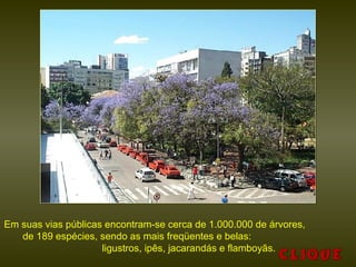 Em suas vias públicas encontram-se cerca de 1.000.000 de árvores,
de 189 espécies, sendo as mais freqüentes e belas:
ligustros, ipês, jacarandás e flamboyãs.
 