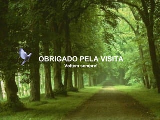 OBRIGADO PELA VISITA
Voltem sempre!
 