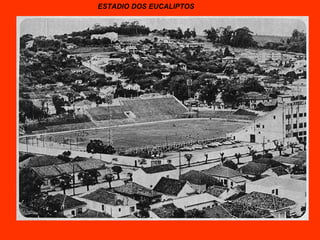 ESTADIO DOS EUCALIPTOS 