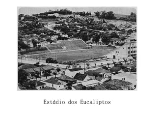 Estádio dos Eucaliptos 