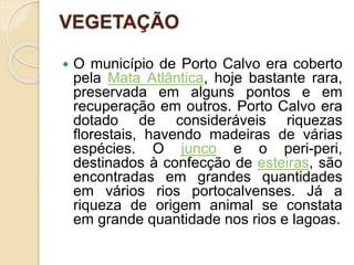 VEGETAÇÃO
 O município de Porto Calvo era coberto
pela Mata Atlântica, hoje bastante rara,
preservada em alguns pontos e em
recuperação em outros. Porto Calvo era
dotado de consideráveis riquezas
florestais, havendo madeiras de várias
espécies. O junco e o peri-peri,
destinados à confecção de esteiras, são
encontradas em grandes quantidades
em vários rios portocalvenses. Já a
riqueza de origem animal se constata
em grande quantidade nos rios e lagoas.
 