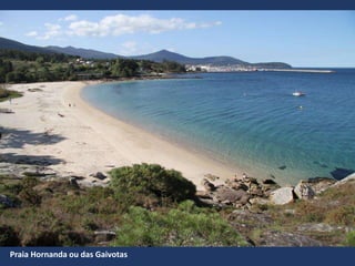 Praia Hornanda ou das Gaivotas
 