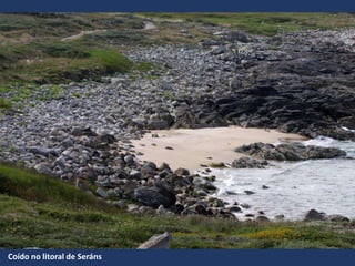 Coído no litoral de Seráns
 