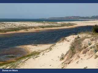 Dunas en Muro
 