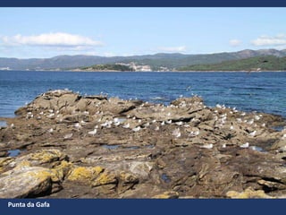 Punta da Gafa
 