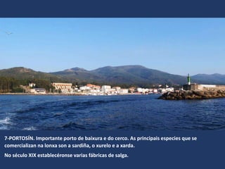 7-PORTOSÍN. Importante porto de baixura e do cerco. As principais especies que se
comercializan na lonxa son a sardiña, o xurelo e a xarda.
No século XIX establecéronse varias fábricas de salga.
 