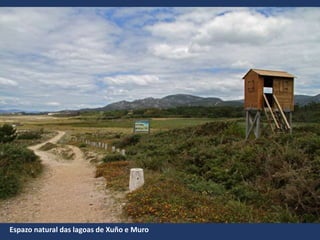 Espazo natural das lagoas de Xuño e Muro
 