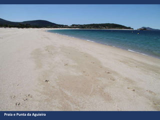 Praia e Punta da Aguieira
 
