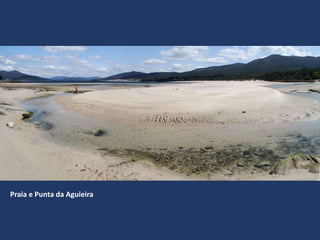 Praia e Punta da Aguieira
 