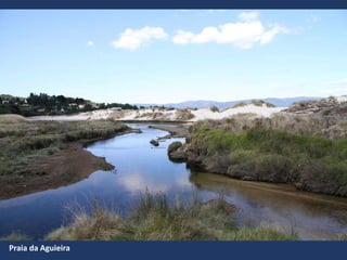 Praia da Aguieira
 